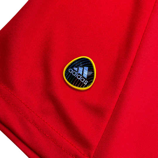 España Local 2010