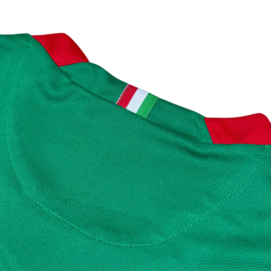 México Local 2006