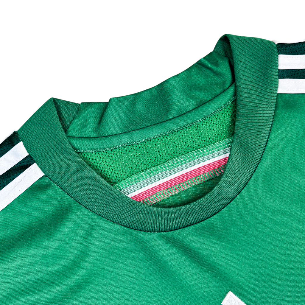México Local 2014