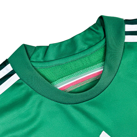 México Local 2014